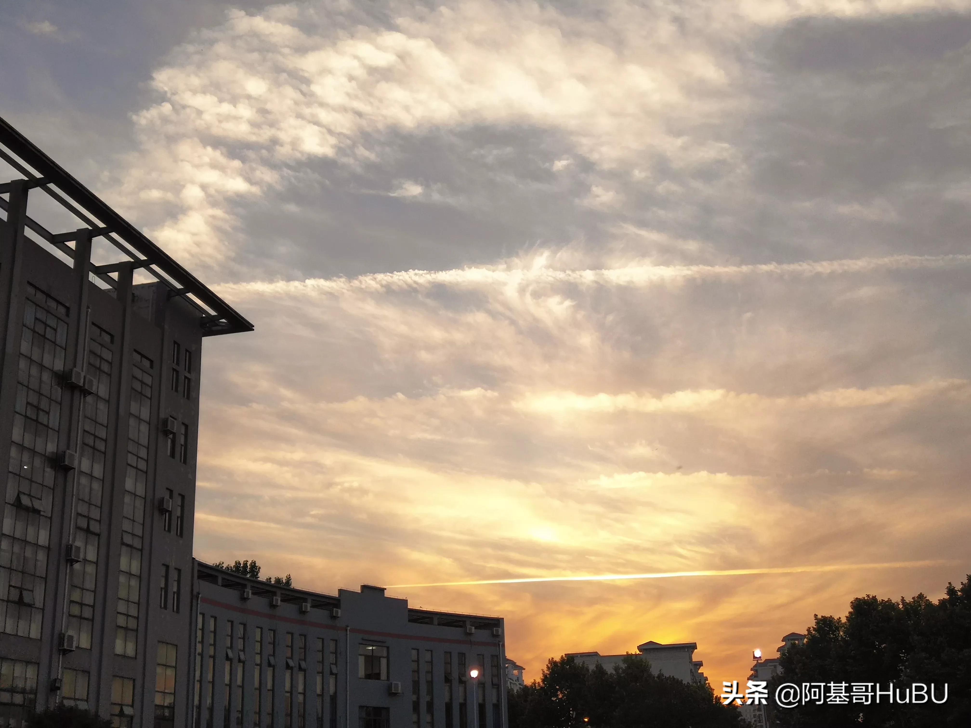 家长不在家娃被抽血，家长不在家娃被抽血怎么处理