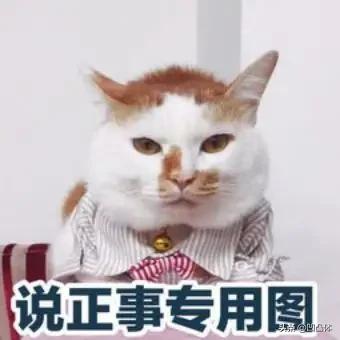 勒死情人水泥埋尸 ，勒死情人水泥埋尸