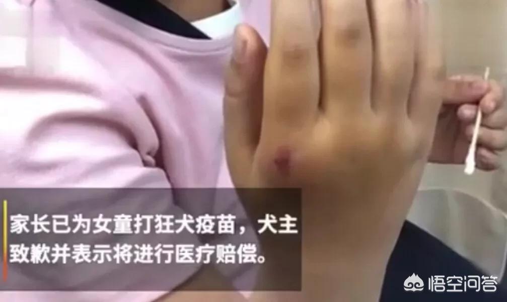 未牵绳大狗扑1岁娃，未牵绳小狗被大狗咬死