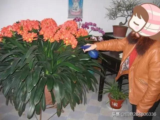 虚假摆拍1人被罚，关于虚假摆拍处罚规则升级的公告