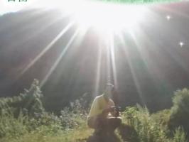 虚假摆拍1人被罚，关于虚假摆拍处罚规则升级的公告