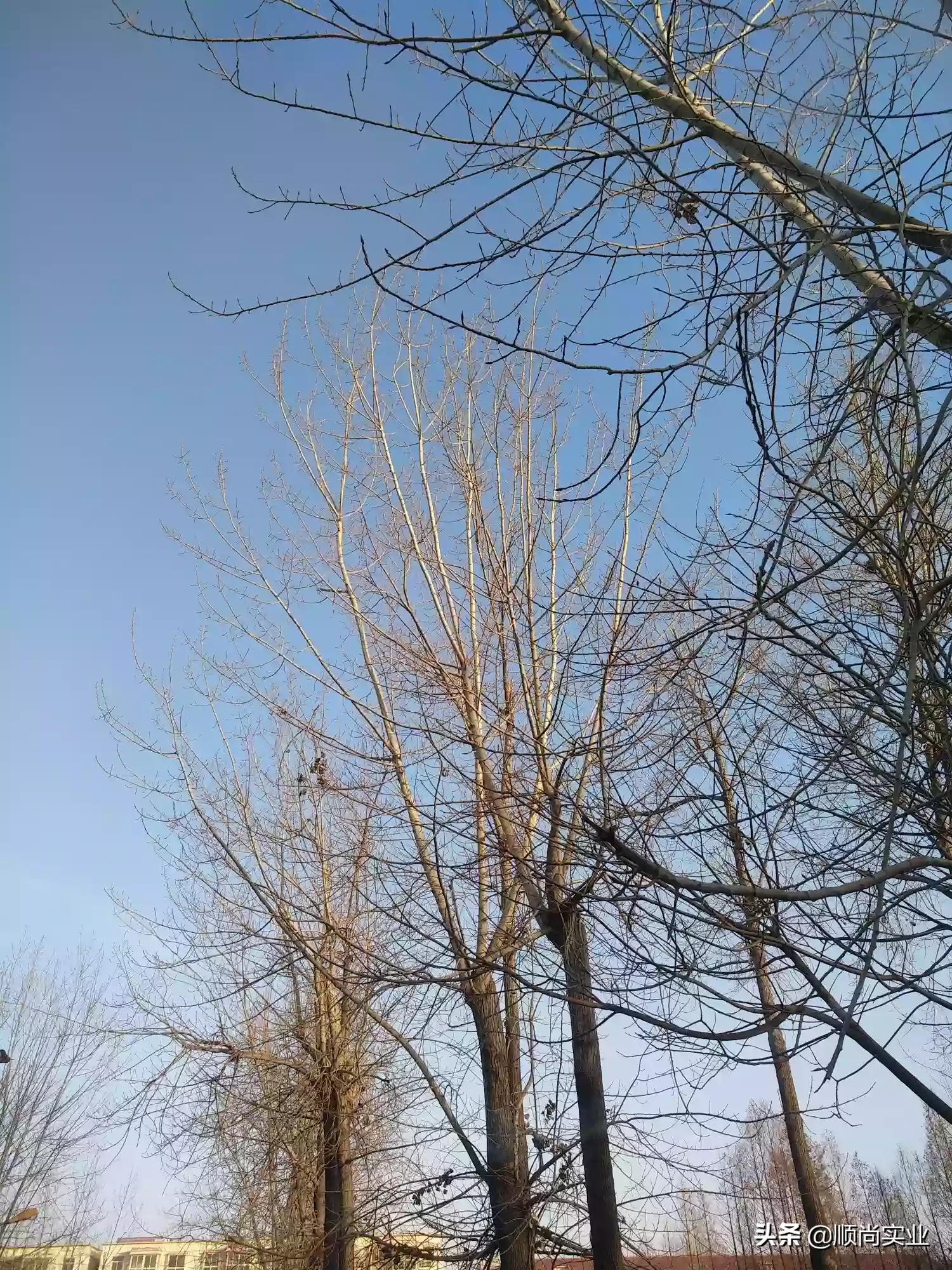 虚假摆拍1人被罚，关于虚假摆拍处罚规则升级的公告