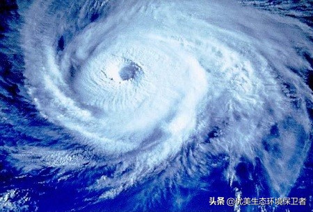 台风玲玲已生成，台风玲玲生成上海天气