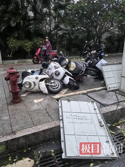 游客因台风被困三亚，游客因台风被困三亚死亡