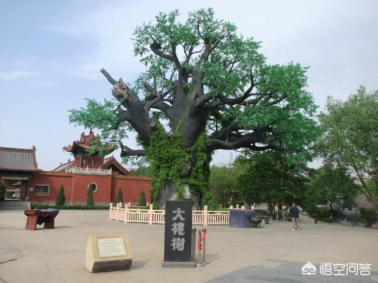 北京已转移5.8万人，北京传来重要消息