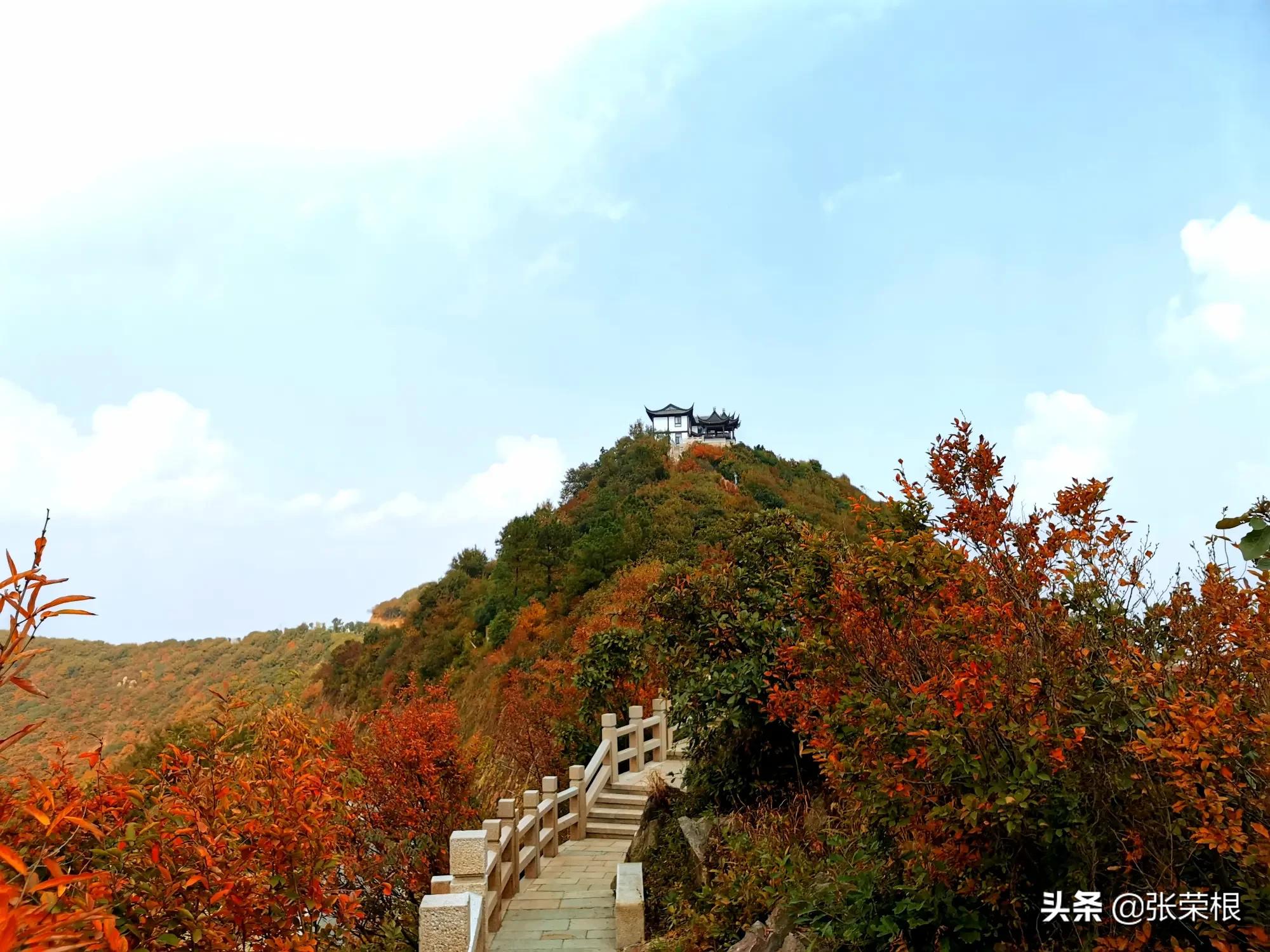 无人化作战时代到来，无人化作战时代到来 这支新型部队可能改变未来战场