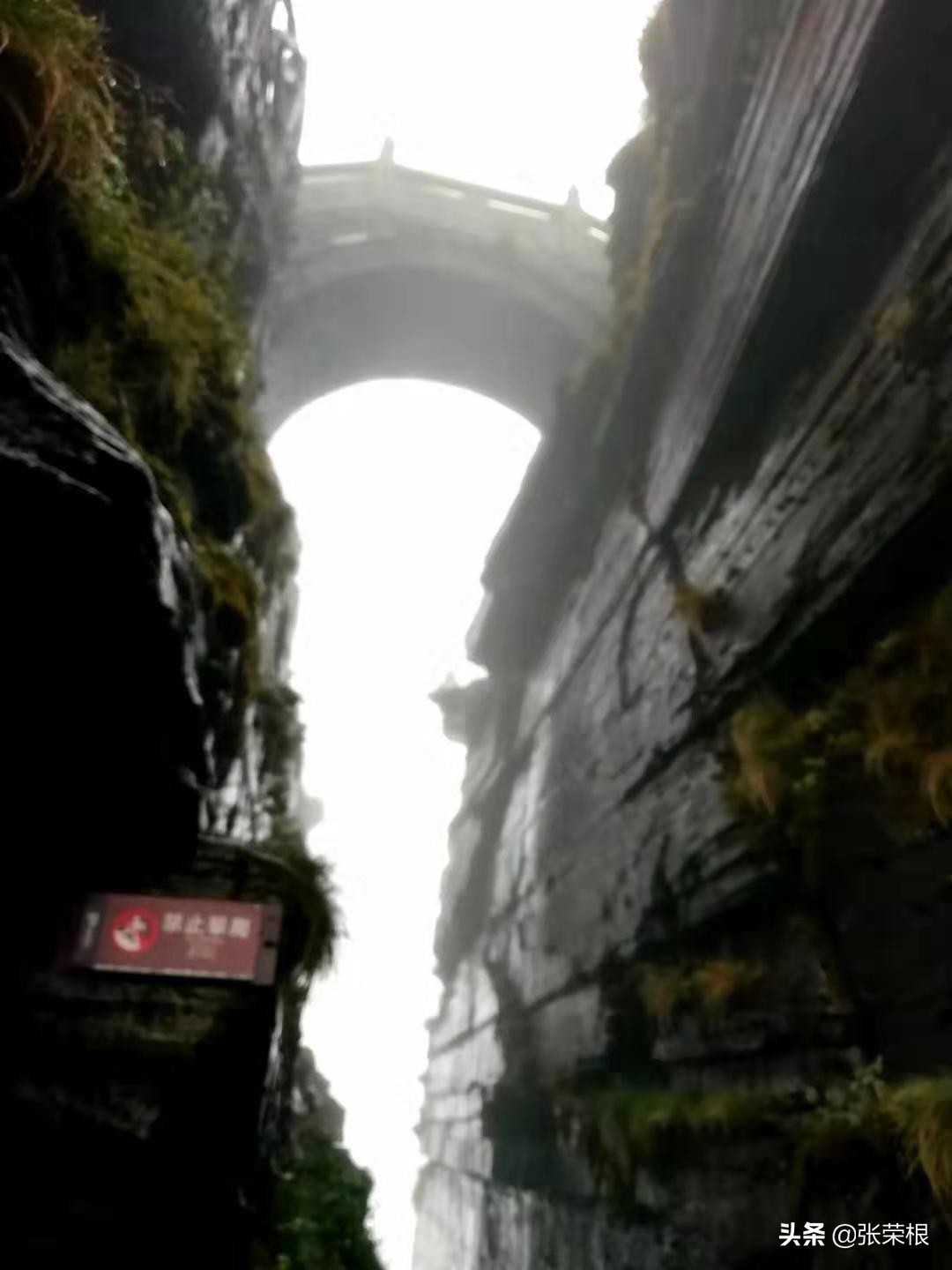 无人化作战时代到来，无人化作战时代到来 这支新型部队可能改变未来战场