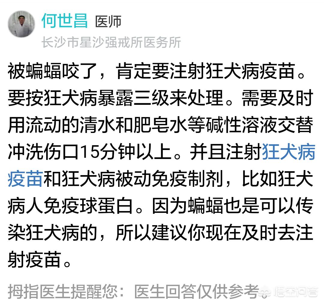 徒手抓蝙蝠被咬伤，