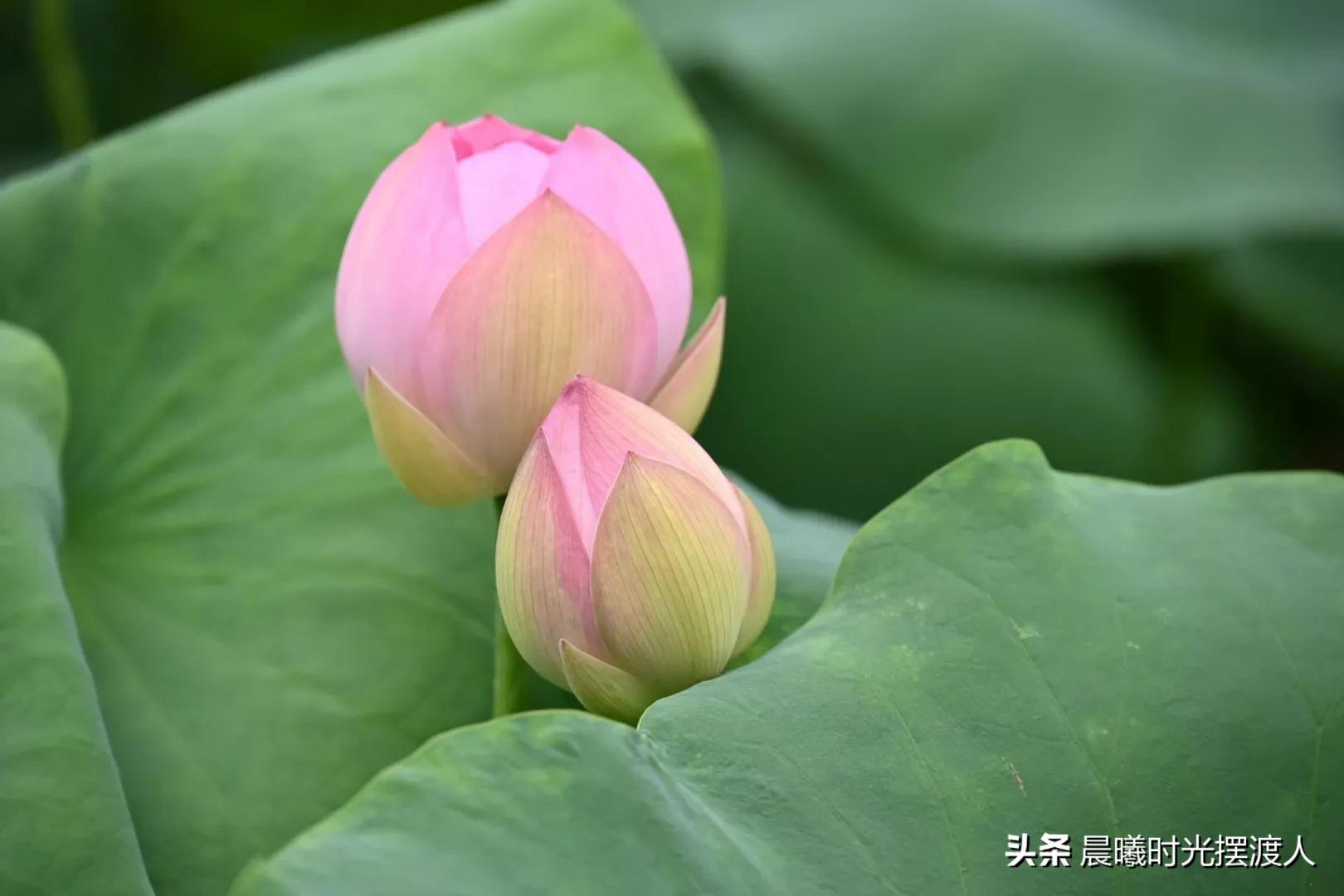 婚姻登记中心进复旦，婚姻登记中心进复旦要多少钱