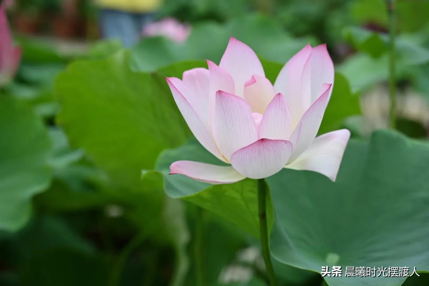 婚姻登记中心进复旦，婚姻登记中心进复旦要多少钱