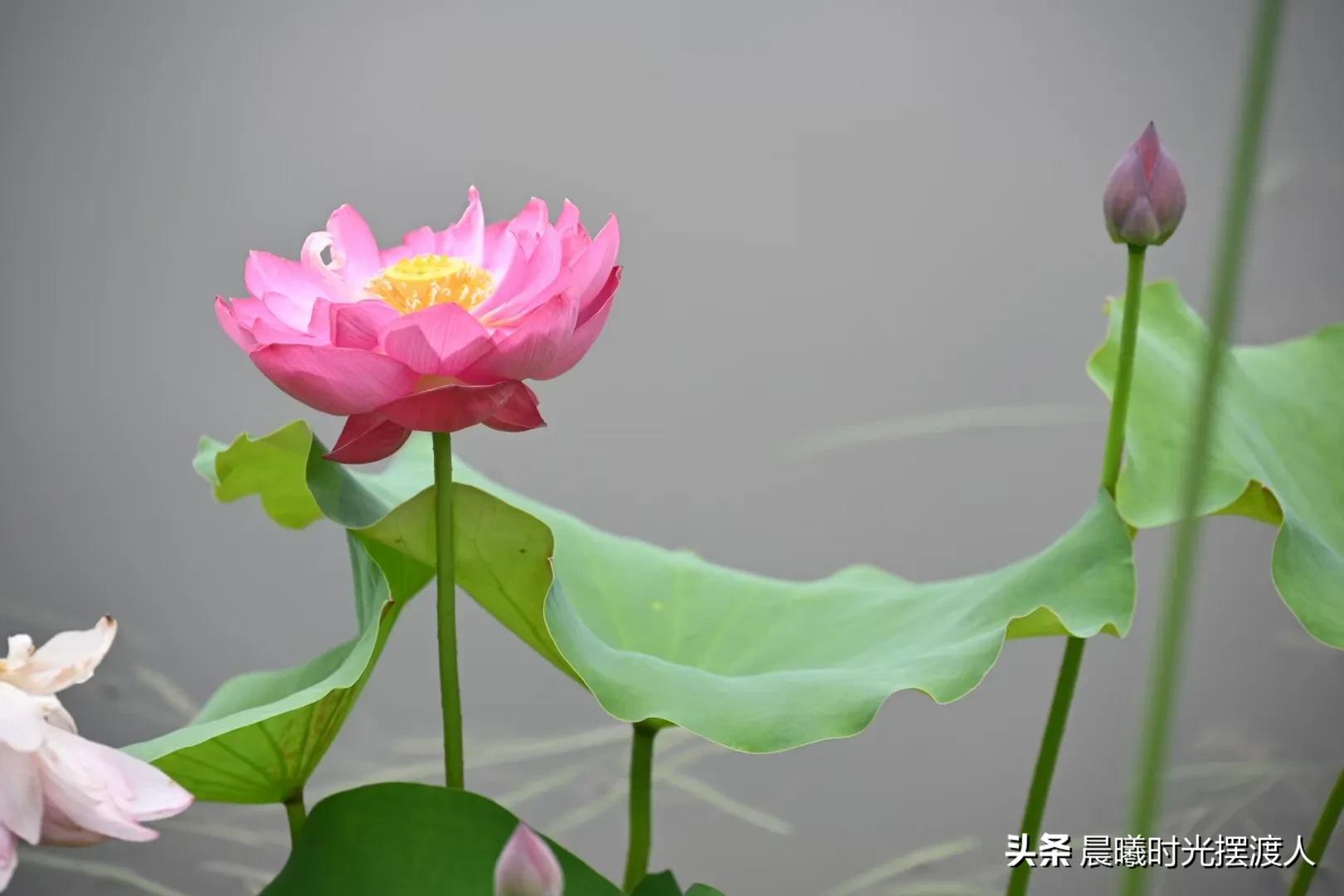 婚姻登记中心进复旦，婚姻登记中心进复旦要多少钱