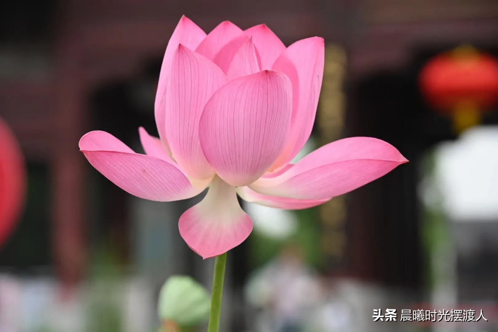 婚姻登记中心进复旦，婚姻登记中心进复旦要多少钱