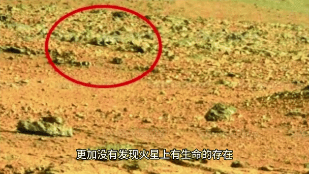 发现火星生命迹象，发现火星生命迹象的原因