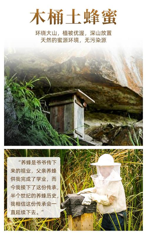 墙中挖出约野生蜂蜜，挖野生蜂蜜违法吗