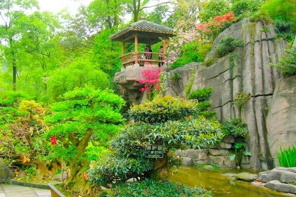河南现不明飞行物，河南现不明飞行物天文馆回应