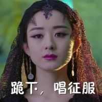 朱一龙获金熊猫影帝，朱一龙获金熊猫影帝了吗
