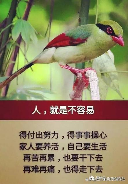 国庆中秋双节放8天，国庆中秋双节放8天假吗