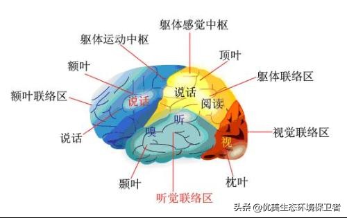 检验睡没睡够的标准，没睡够的表现