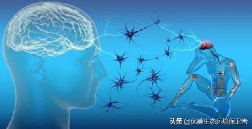 检验睡没睡够的标准，没睡够的表现
