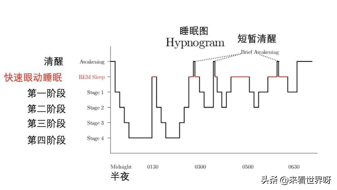 检验睡没睡够的标准，没睡够的表现