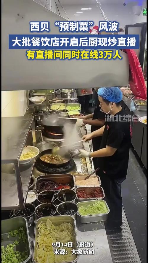多家餐饮店直播后厨，多家餐饮店直播后厨怎么做