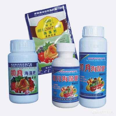 偷400斤猕猴桃被抓，偷400斤猕猴桃被抓了