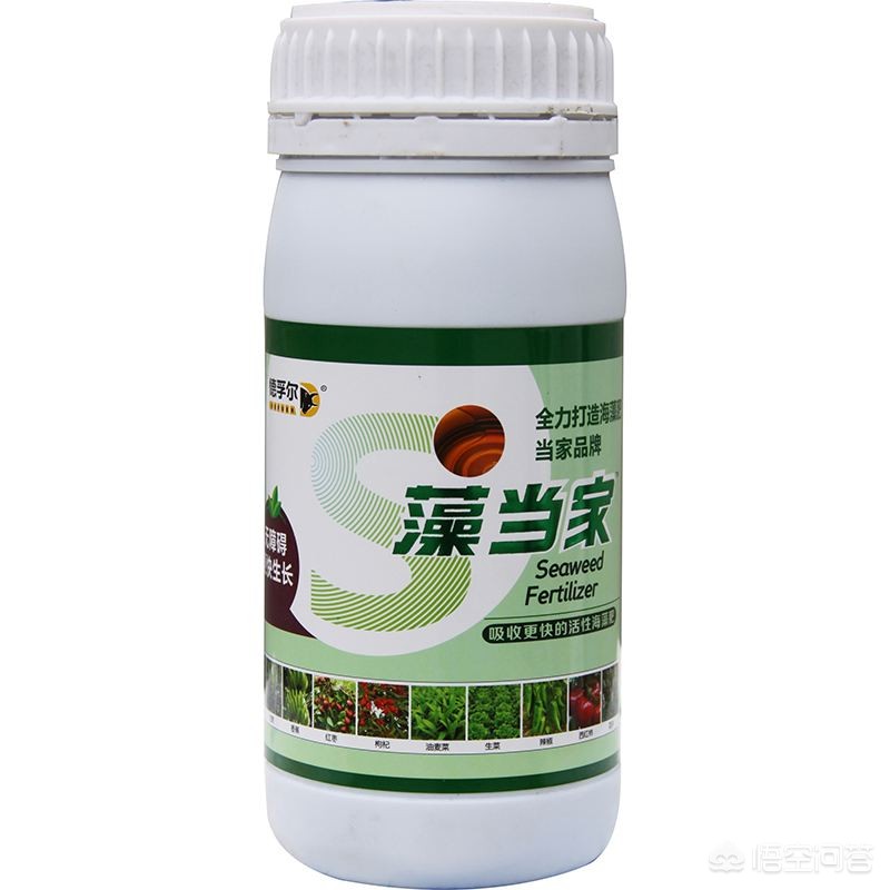 偷400斤猕猴桃被抓，偷400斤猕猴桃被抓了