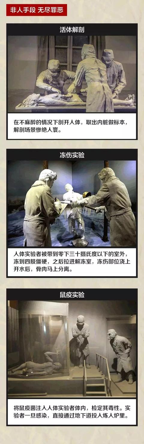 电影731破10项纪录，记录731部队电影