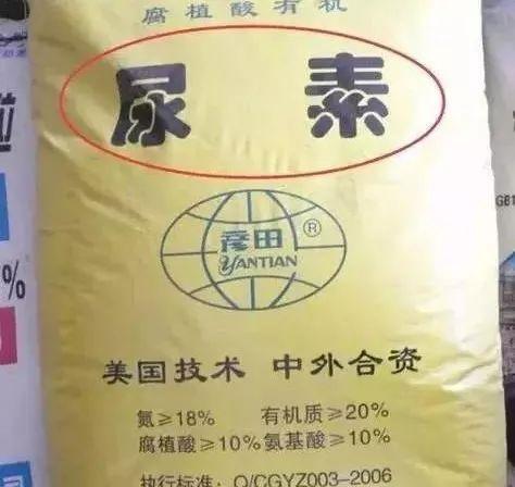 中国三农APP系假冒，中国三农官网