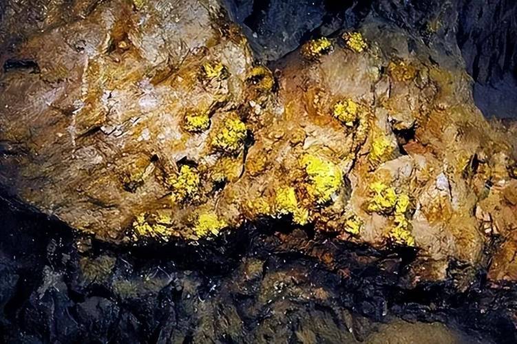 江苏一地发现金矿，江苏一地发现金矿事件