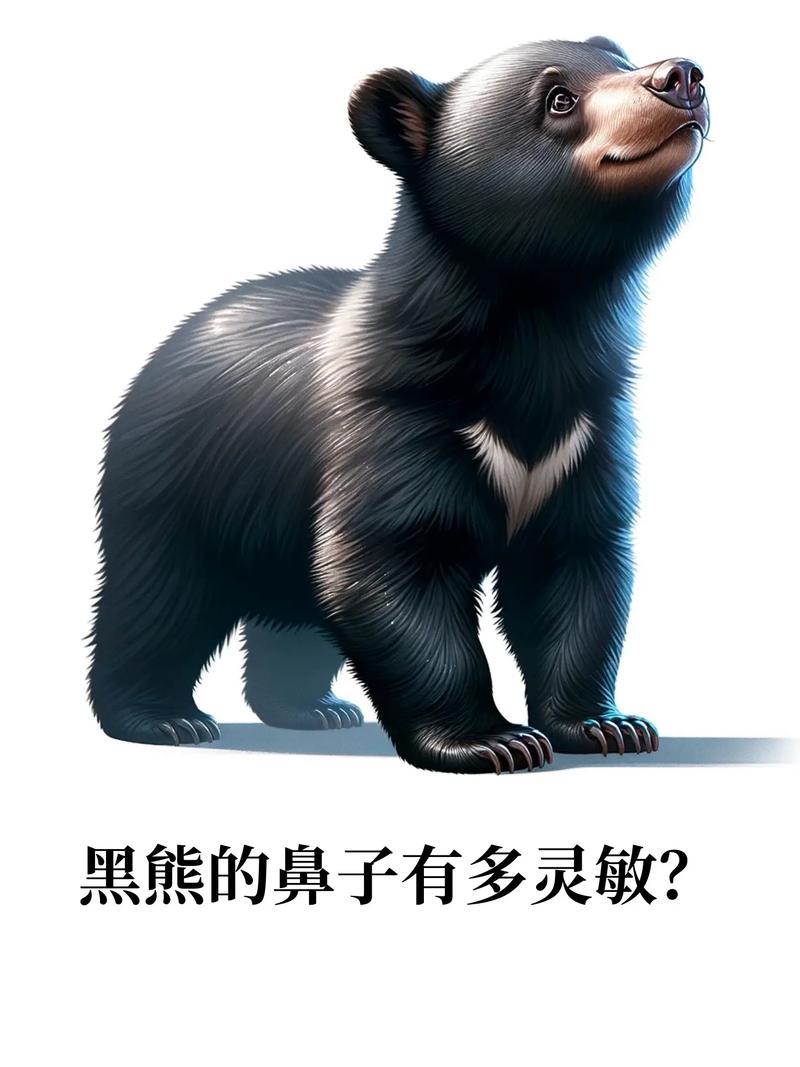 黑熊超市咬人被击毙，黑熊超市咬人被击毙视频