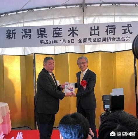 日大米售价逼近最高，日本 大米价格