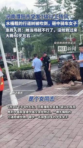 男子台风天被树砸伤，男子台风天被树砸伤视频