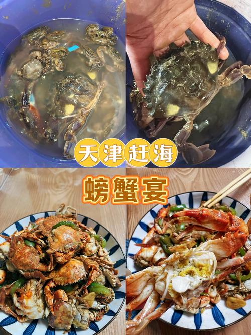 天津出现捡螃蟹大军，天津出现捡螃蟹大军的地方