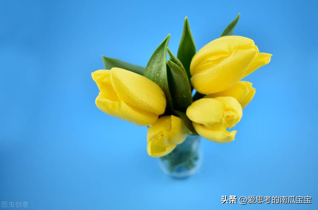 性格好的人脑子好使，性格好的人脑子好使怎么办