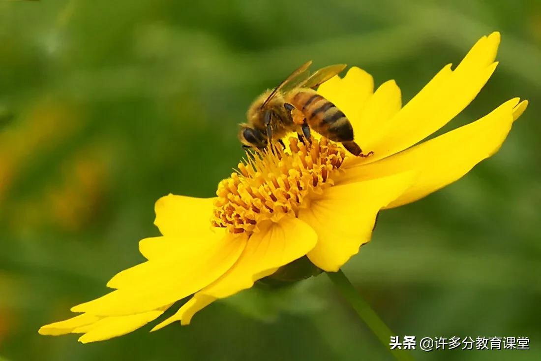 今天只有等放假状态，今天只有等放假状态才能上班