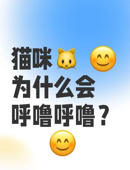 这种呼噜声很危险，这种呼噜声很危险英语