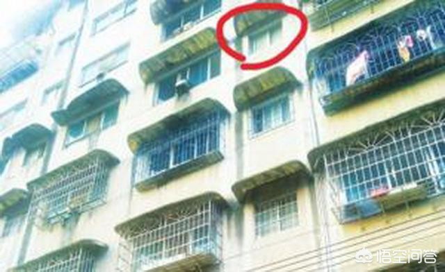 幼童坠楼被邻居接住，幼童坠楼被邻居接住怎么办