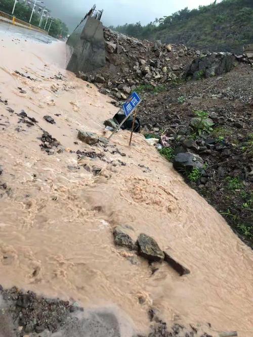 1000多只羊堵在路上，1000多只羊堵在路上怎么办