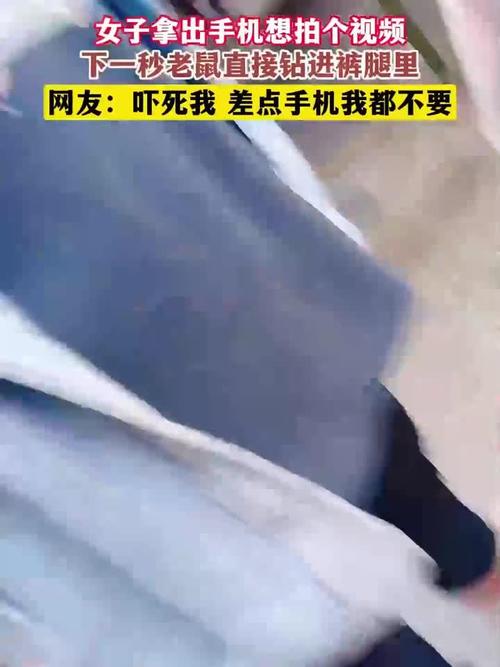 站路边被老鼠钻裤子，被老鼠钻裤腿