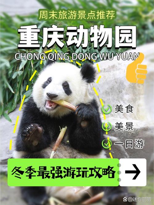 动物园花5万招司机，动物园招聘230一天