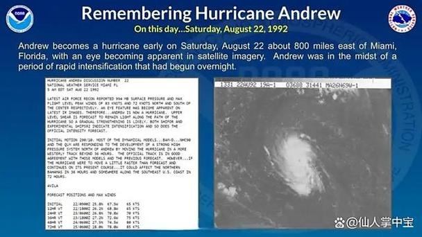 美国佛州抓蟒做包，佛州蟒蛇泛滥