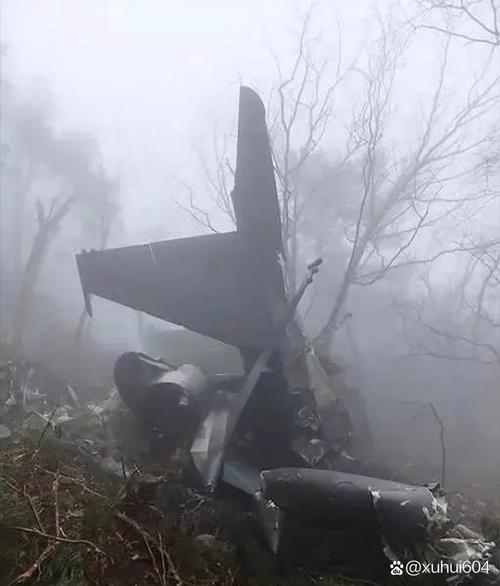 客机空中与鸟群相撞，客机空中与鸟群相撞视频