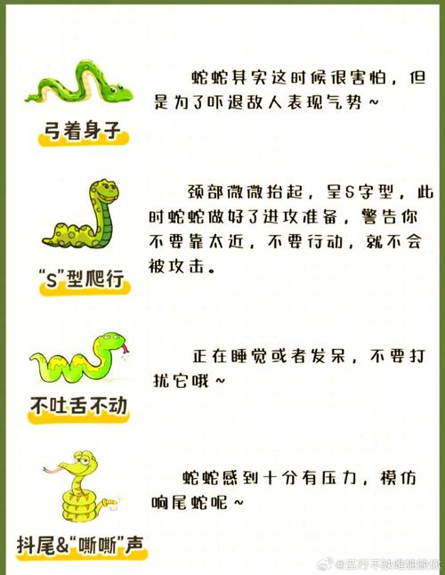 误蹦蛇窝还遇2条蛇，女子称误蹦蛇窝还遇2条蛇