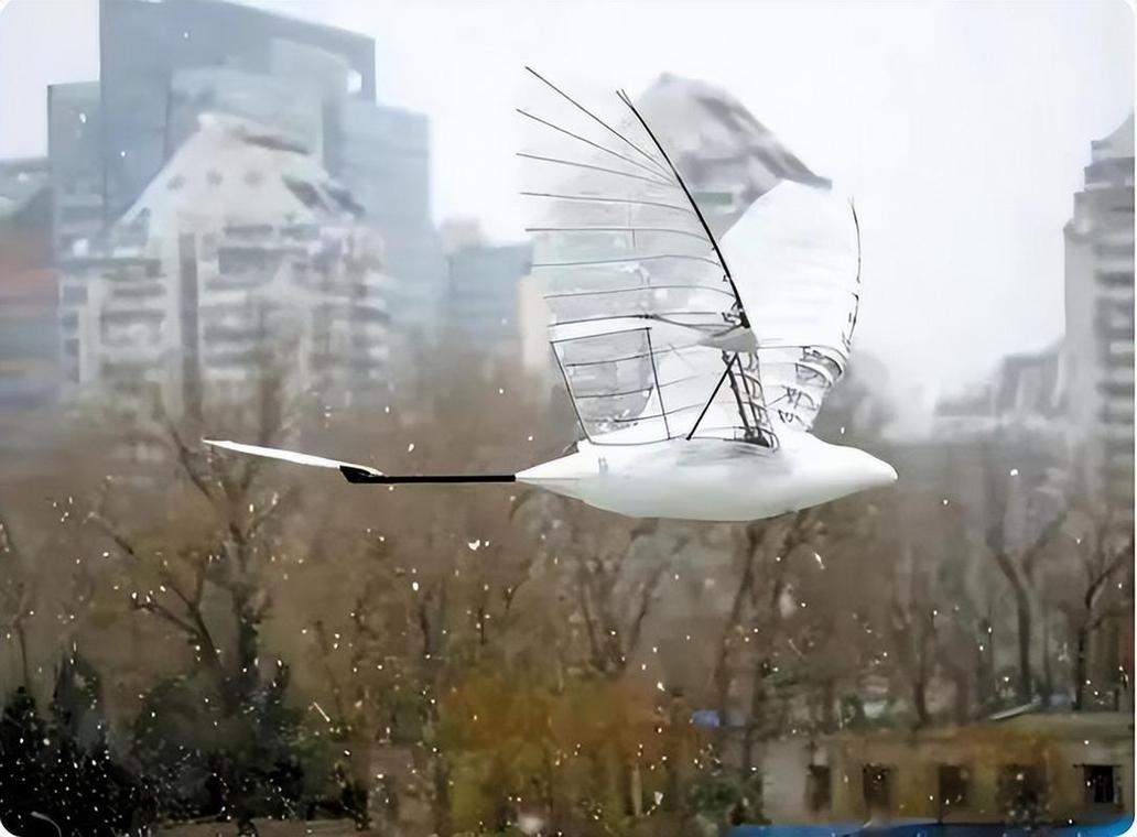 多地现不明飞行物，气象部门回应新疆多地现不明飞行物