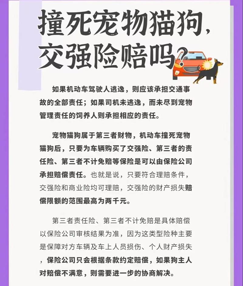 2狗相撞医药费上万，车狗相撞