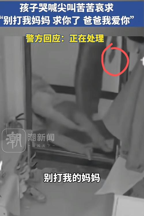 男子殴打93岁母亲，男子殴打93岁母亲视频