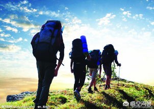 试戴手镯顾客赔100,试戴手镯顾客赔100块钱 试戴手镯顾客赔100,试戴手镯顾客赔100块钱