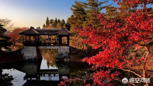 日本机票免费退改，日本机票免费退改签政策