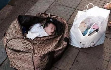 被违规抱养女婴回家，